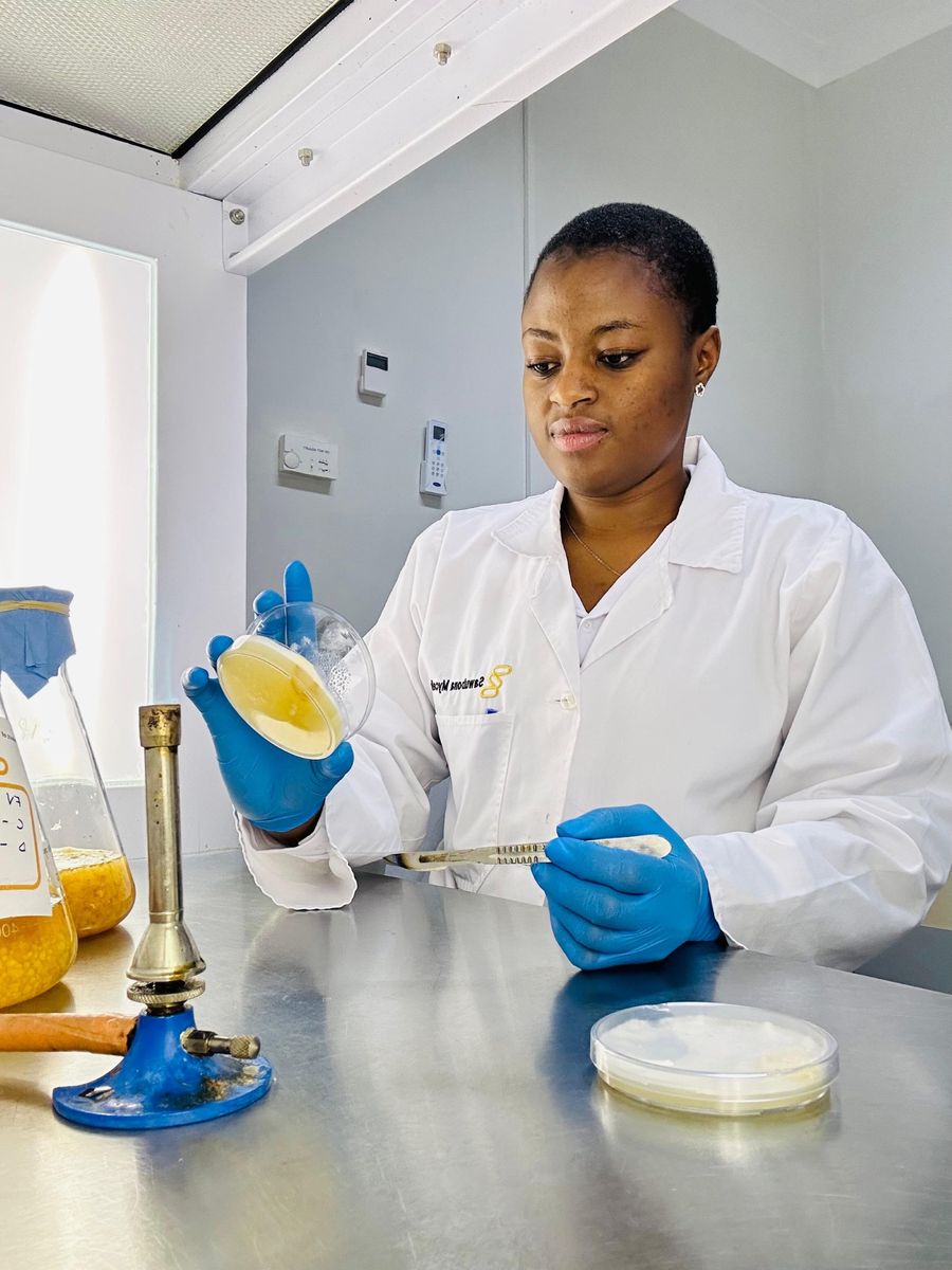 SMP scientist working under a laminar-flow hood on a cloning task — the sterile, analytical science that underpins SMP's world-class manufacturing and quality work